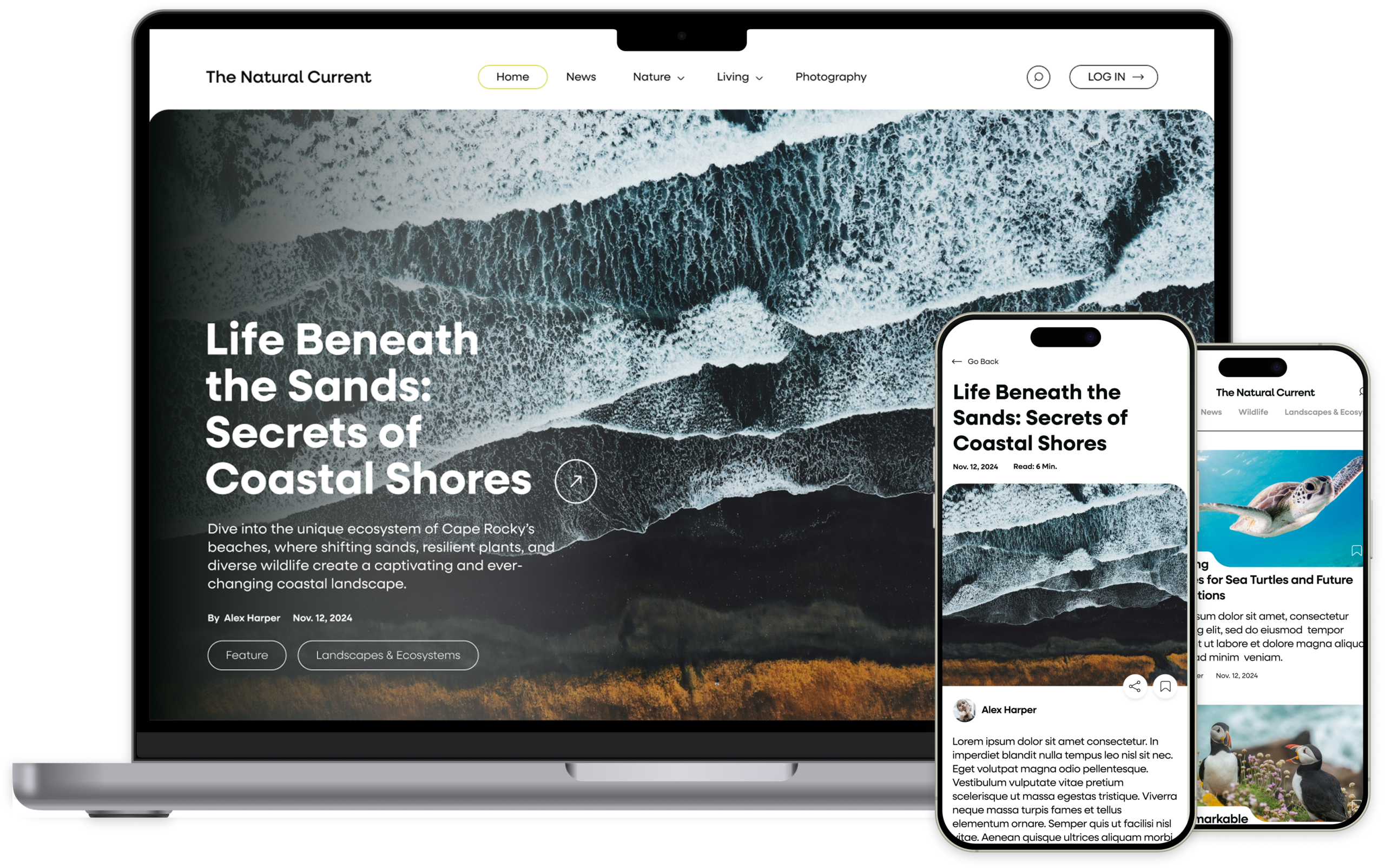 Laptop and phone laptop of natural current digital publication